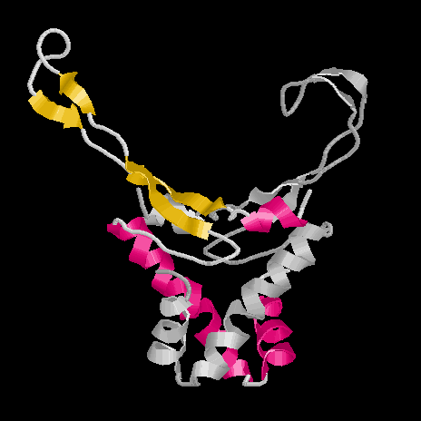 HU aus B. stearothermophilus