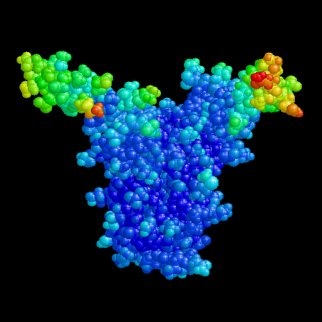 TF1 from B. subtilis