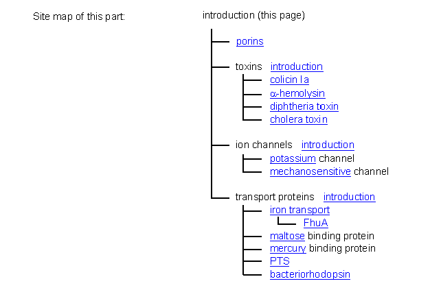 sitemap