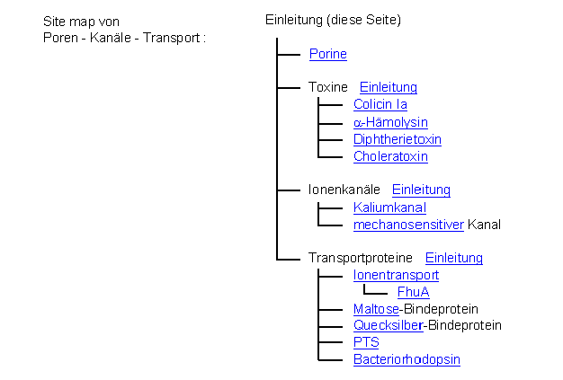 sitemap